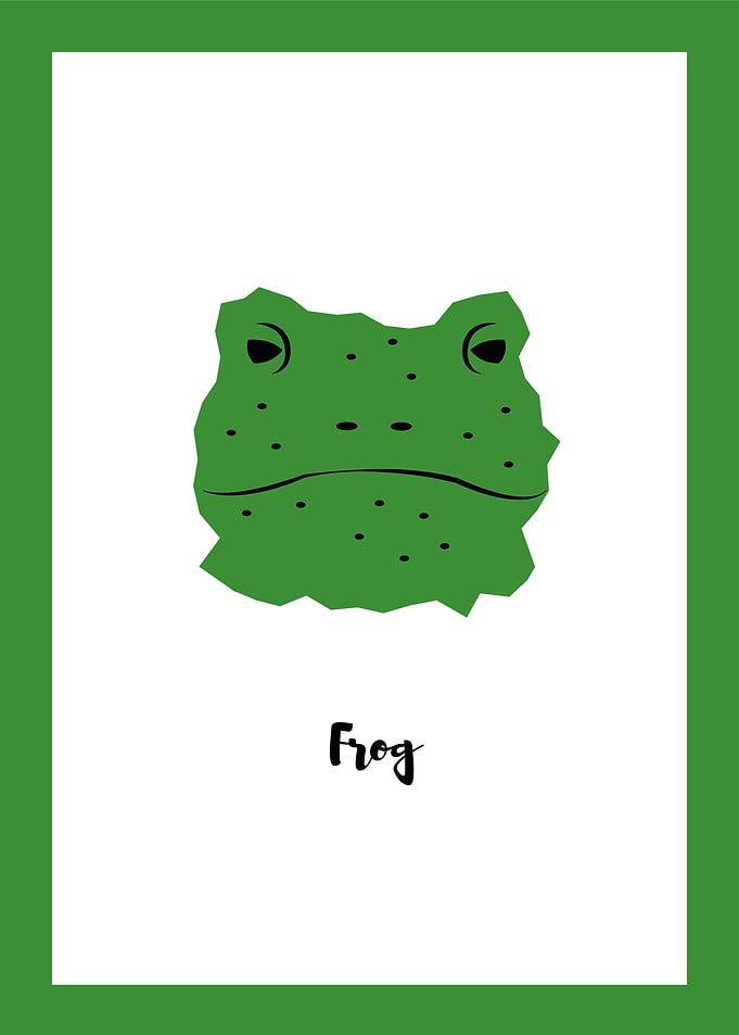 Frog Minimal Design