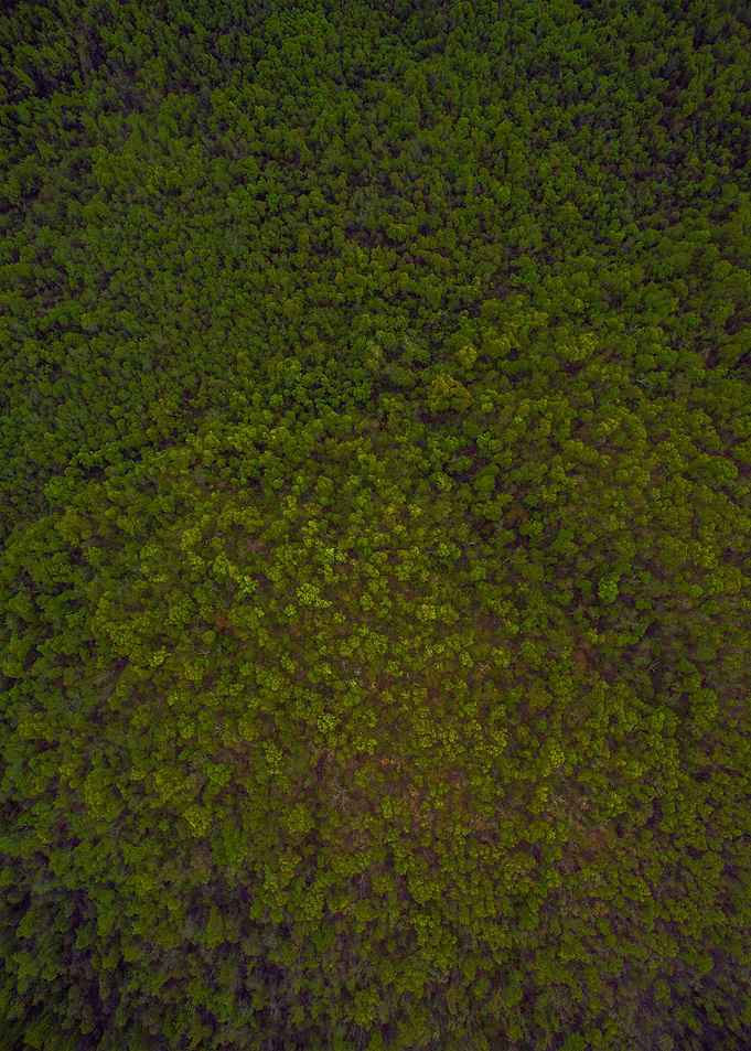World From Above