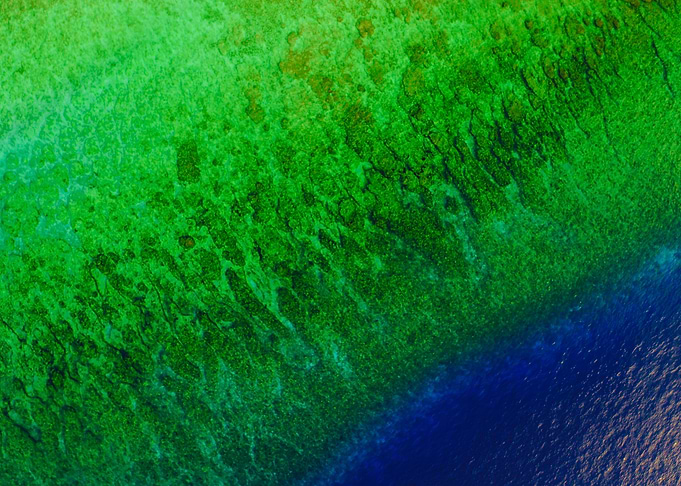 World From Above