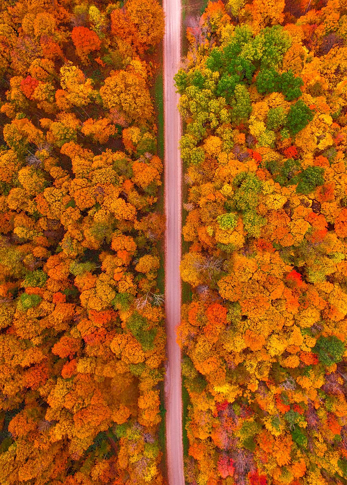World From Above