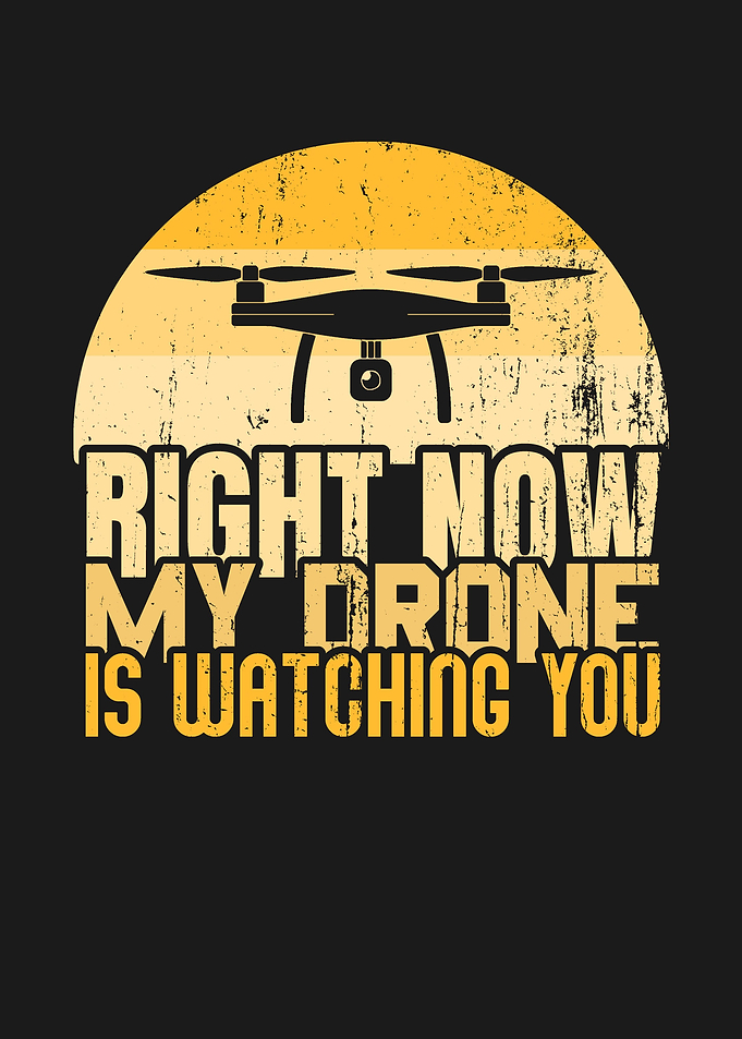 DRONE PILOT