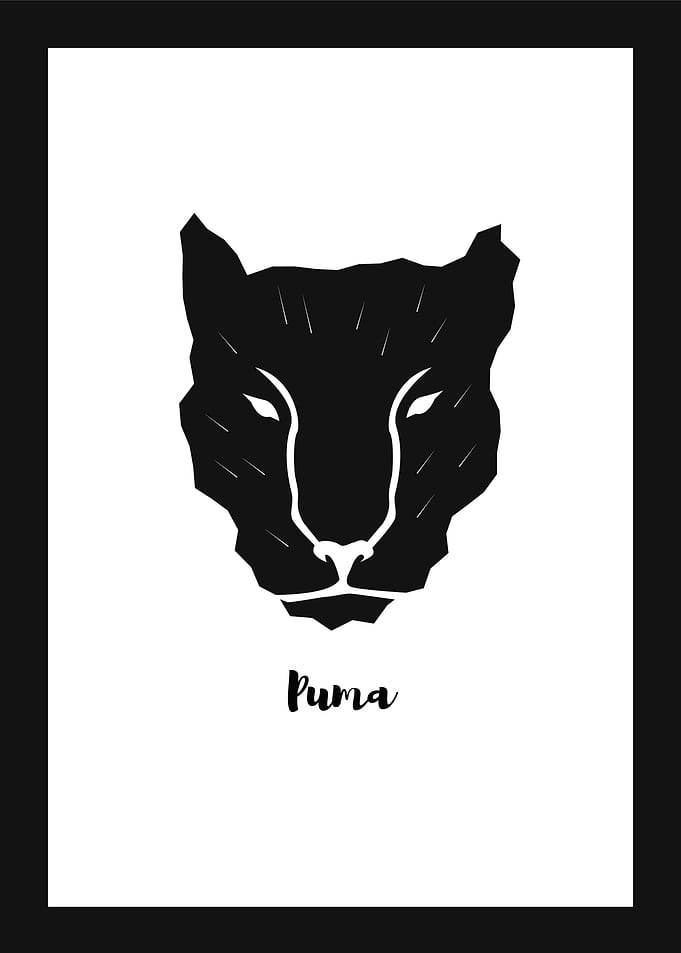 Puma Minimal Design