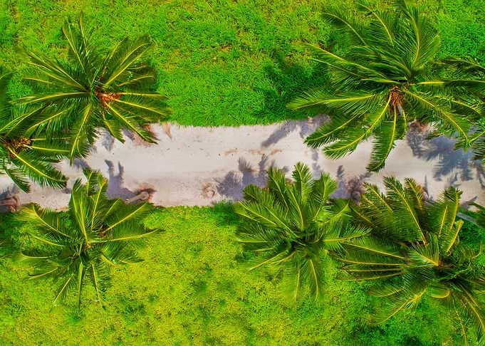 World From Above