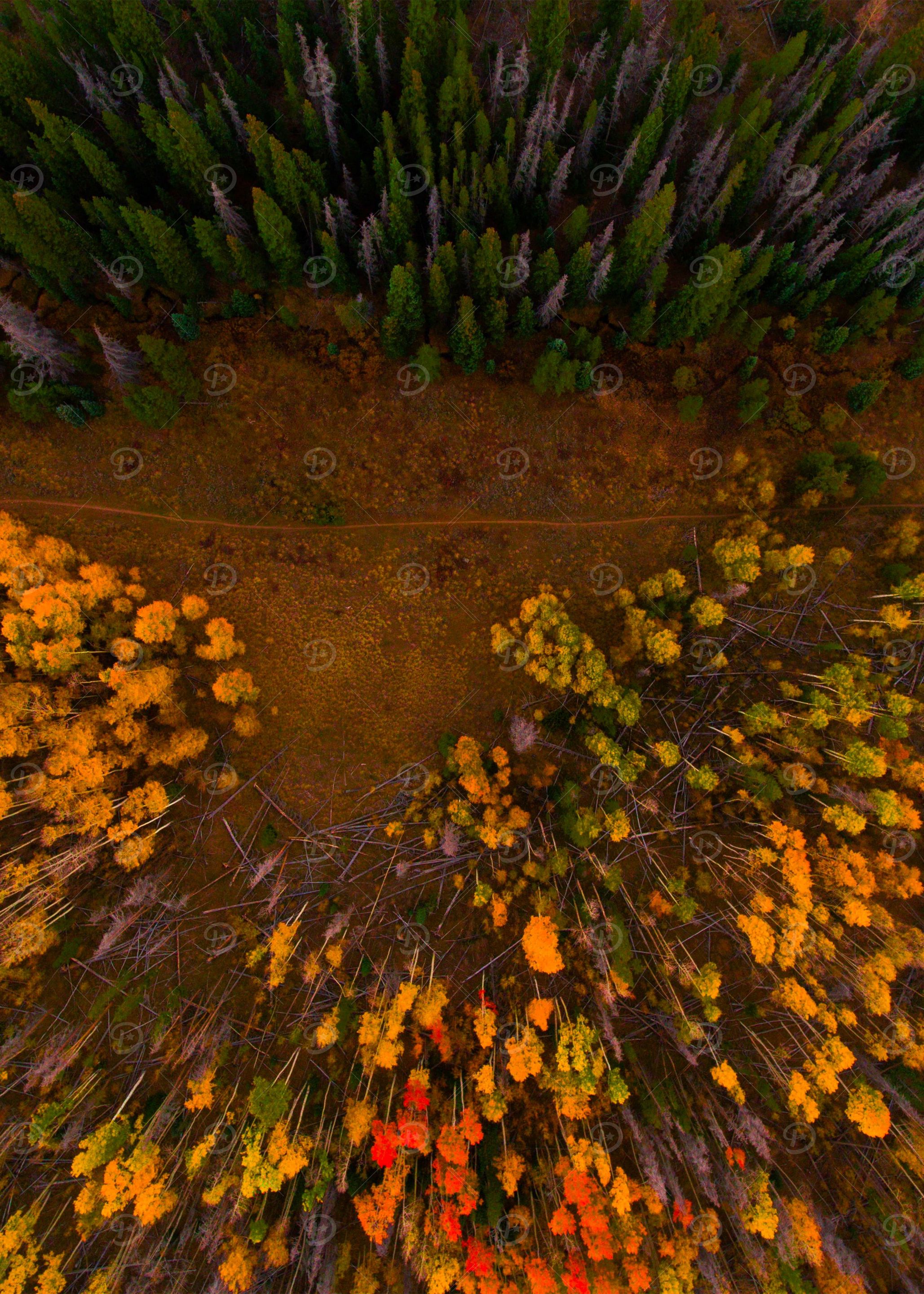 World From Above