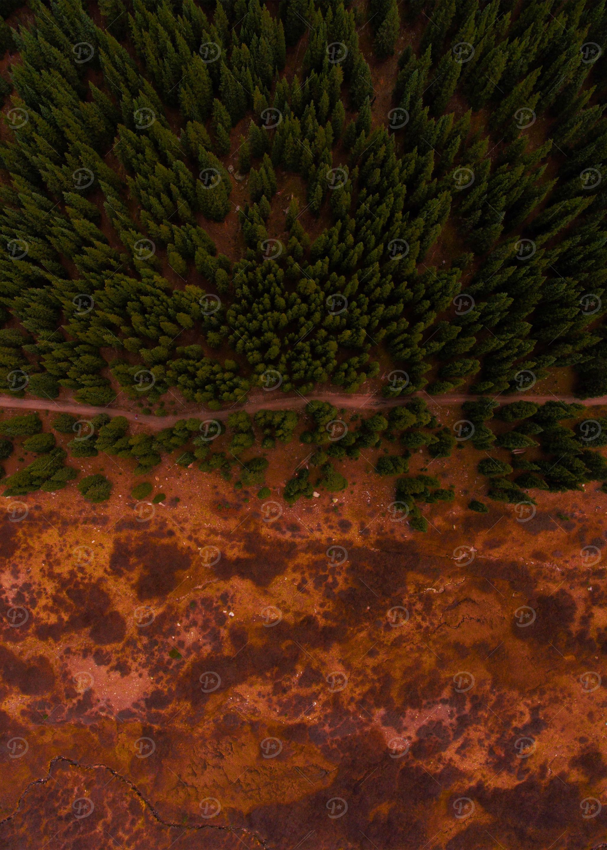World From Above