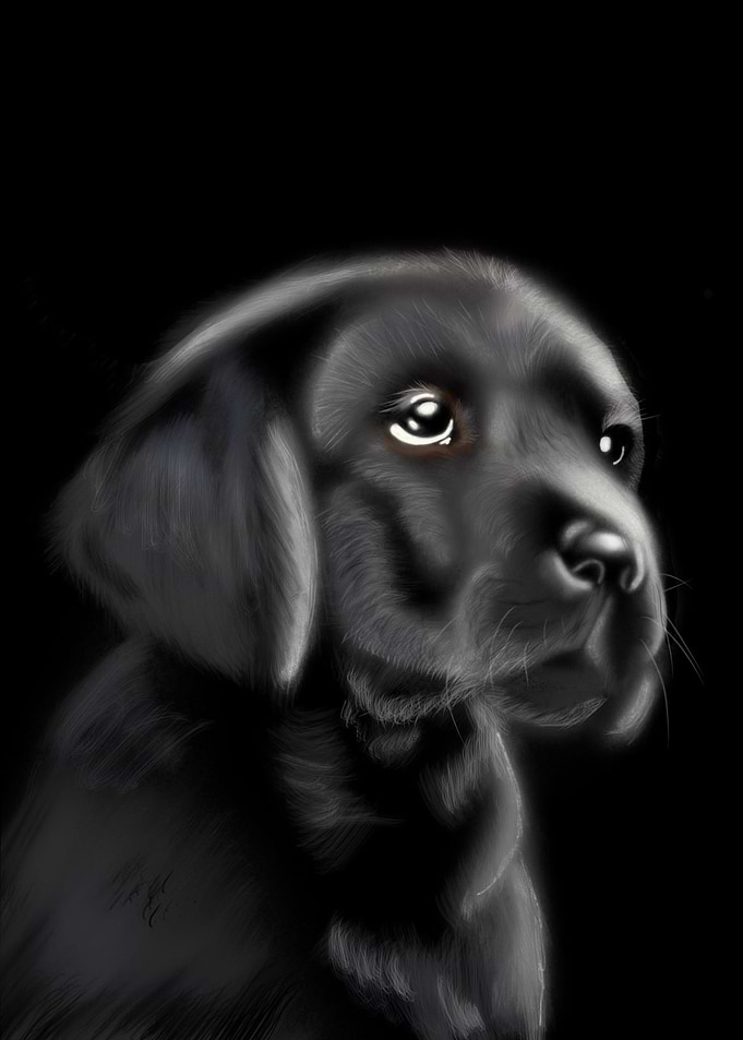 puppy