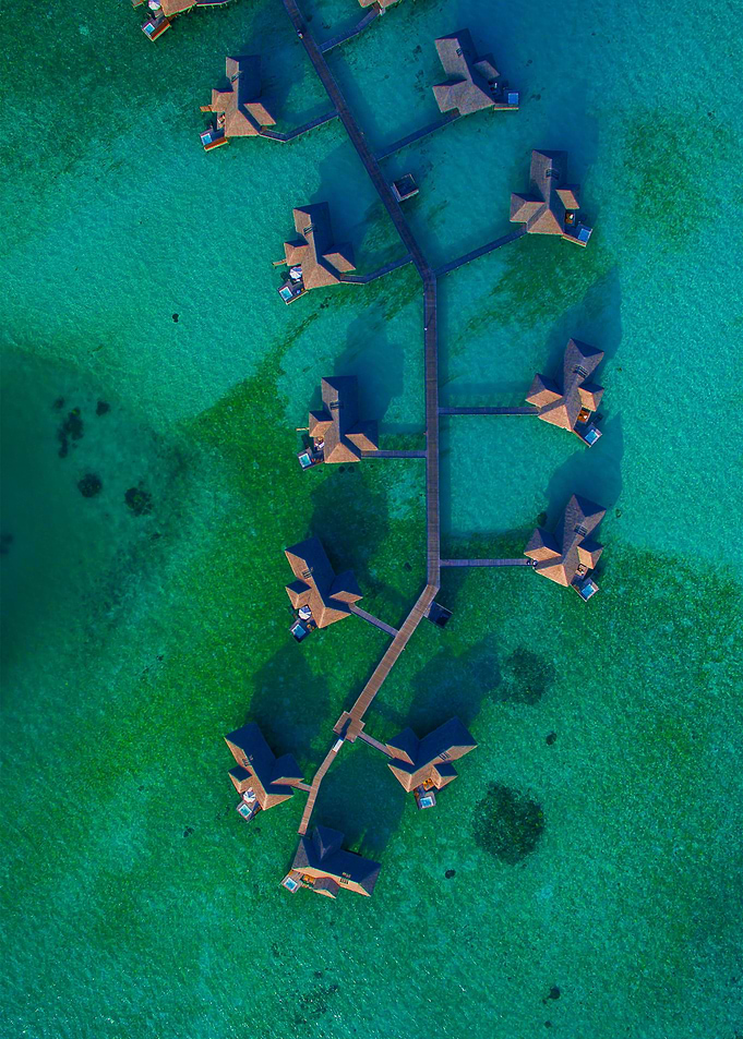 World From Above