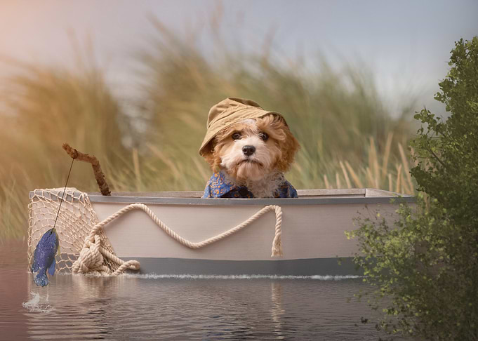 Gone Fishing