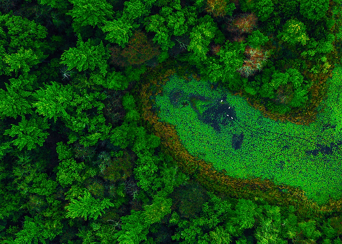 World From Above