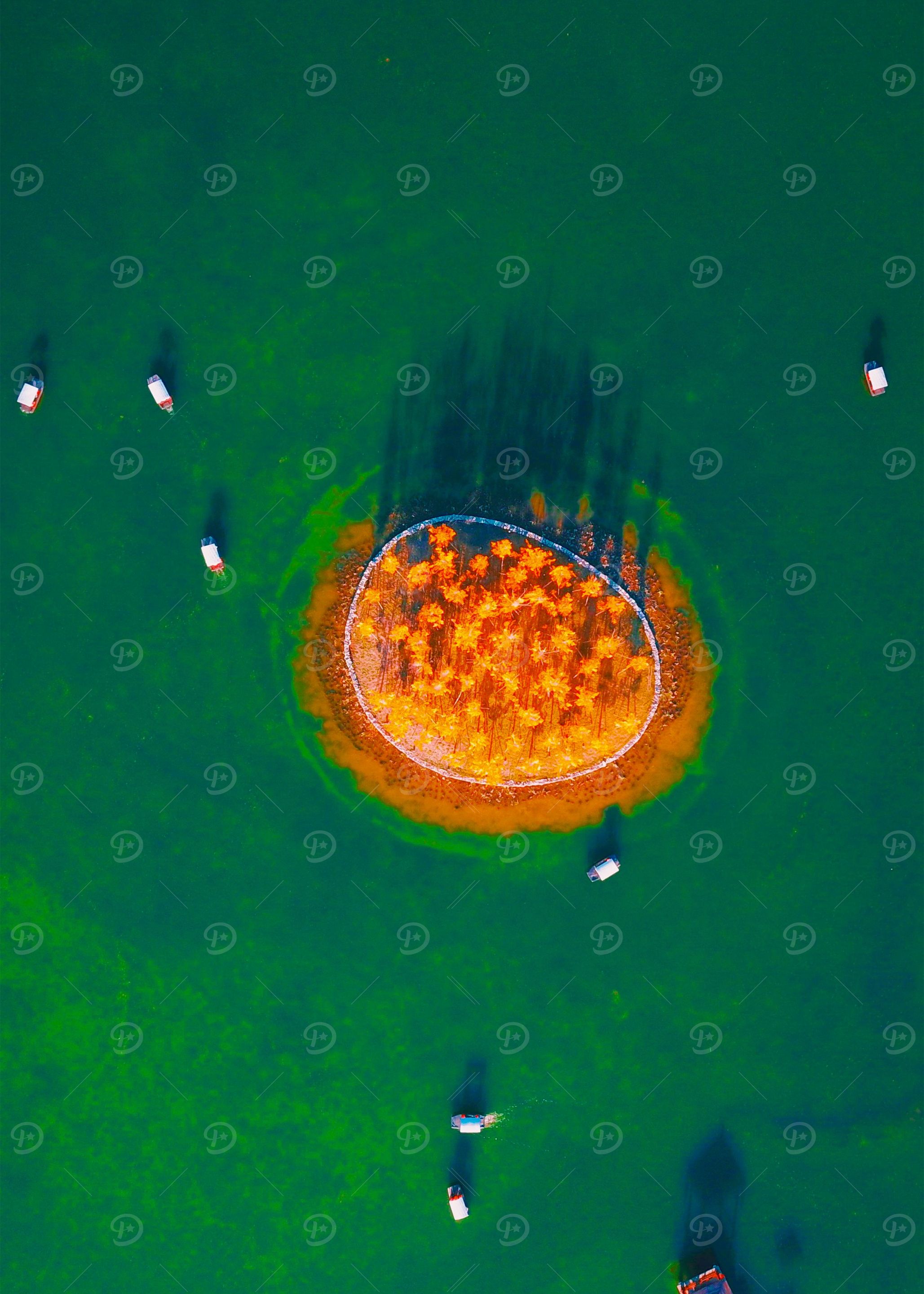 World From Above