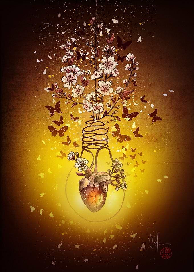 My enlightened heart