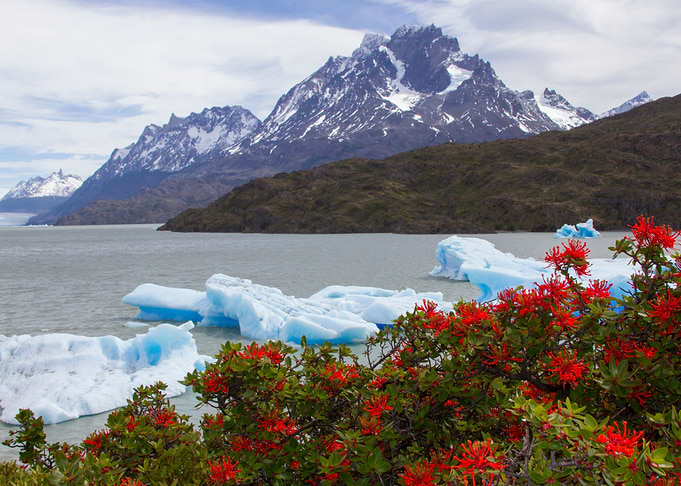 Grey Lake Patagonia