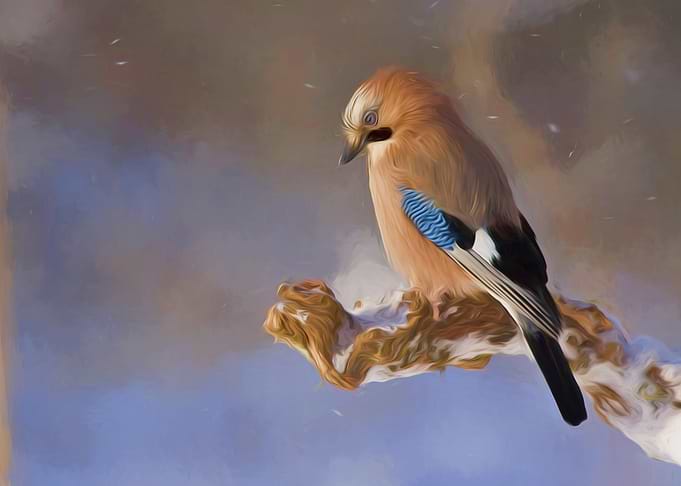 Bird Artwork