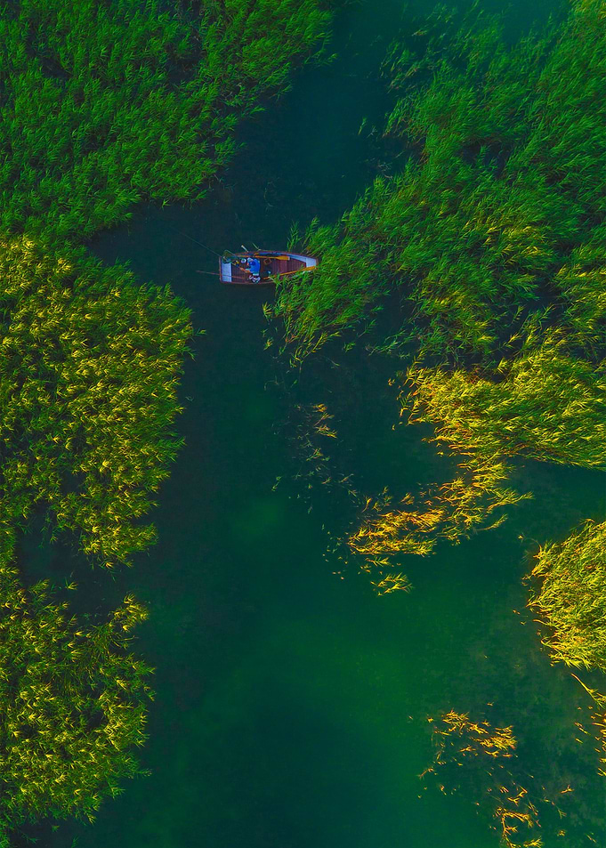 World From Above