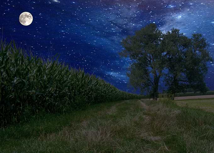 Nightscenery