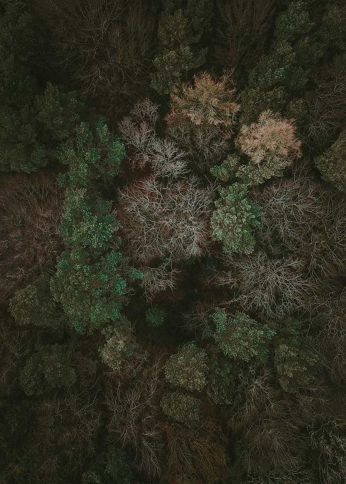 World From Above
