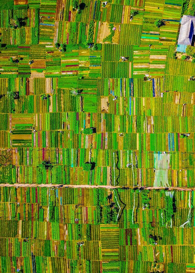 World From Above
