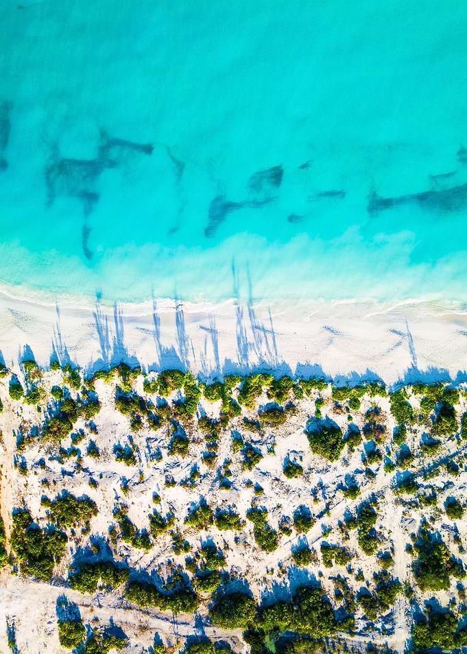 World From Above
