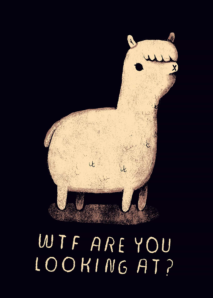 alpaca with attitude