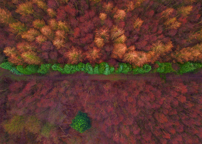 World From Above