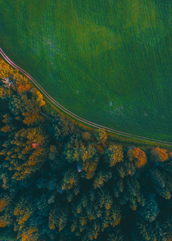 World From Above