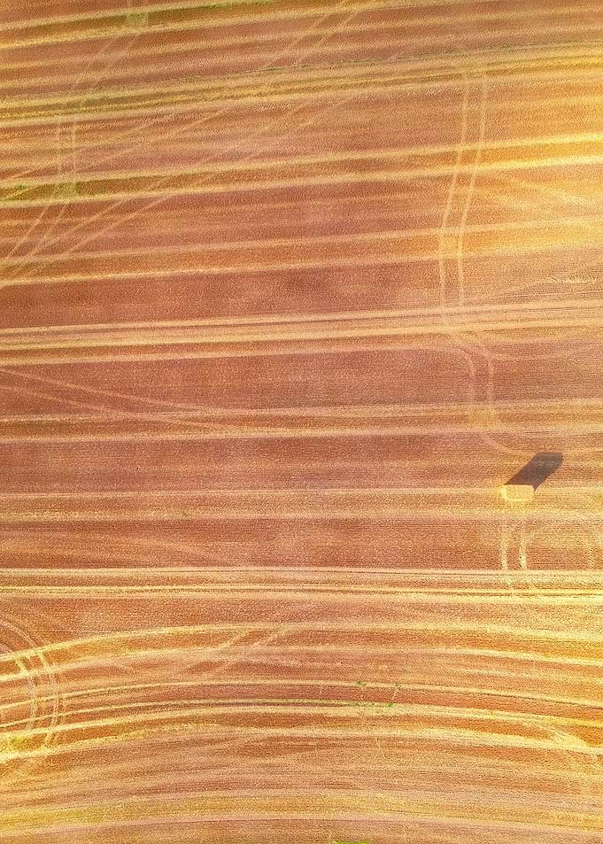 World From Above