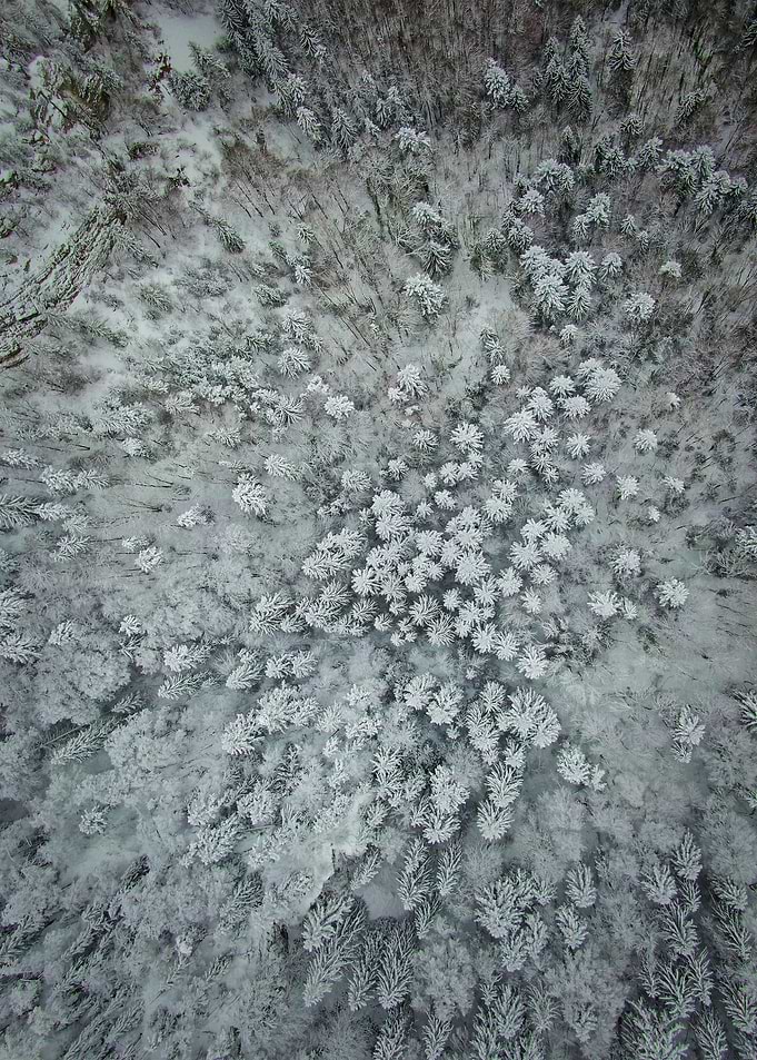 World From Above