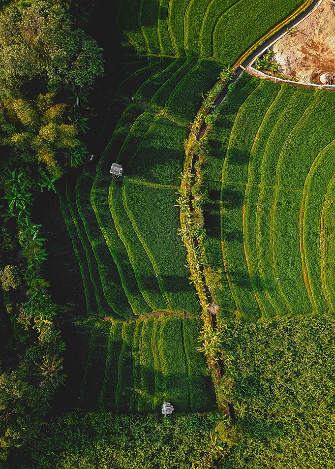 World From Above