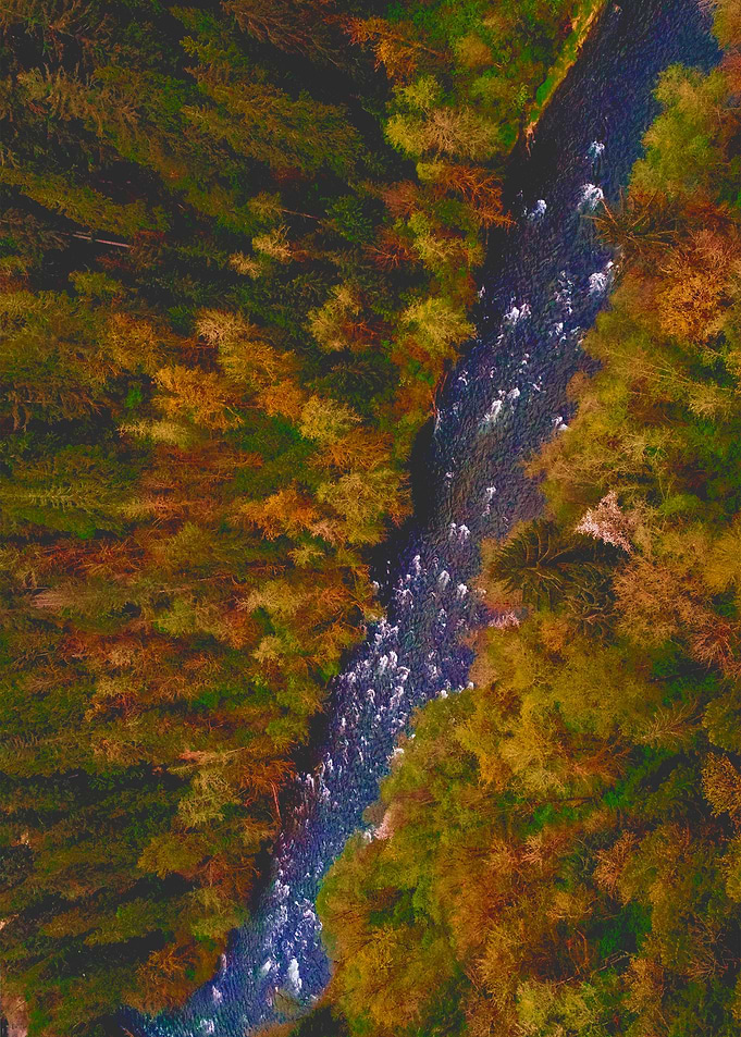 World From Above