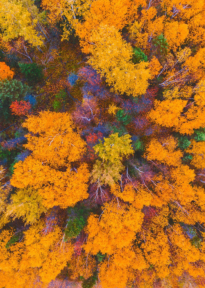 World From Above