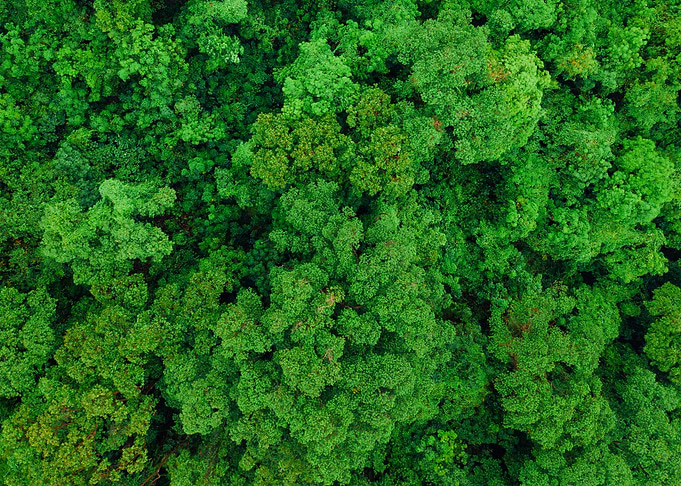 World From Above