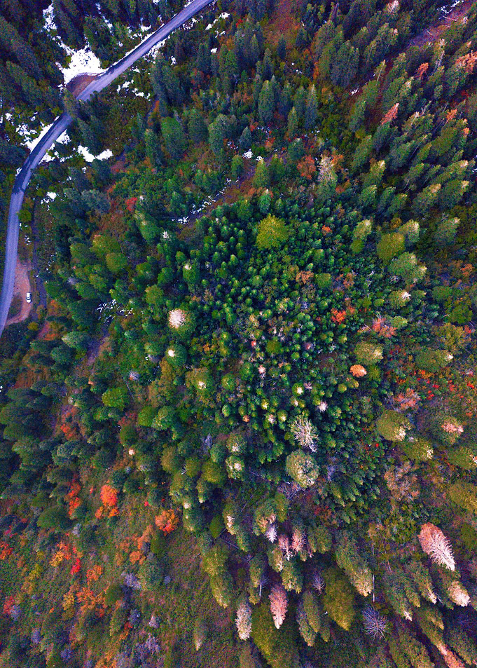 World From Above