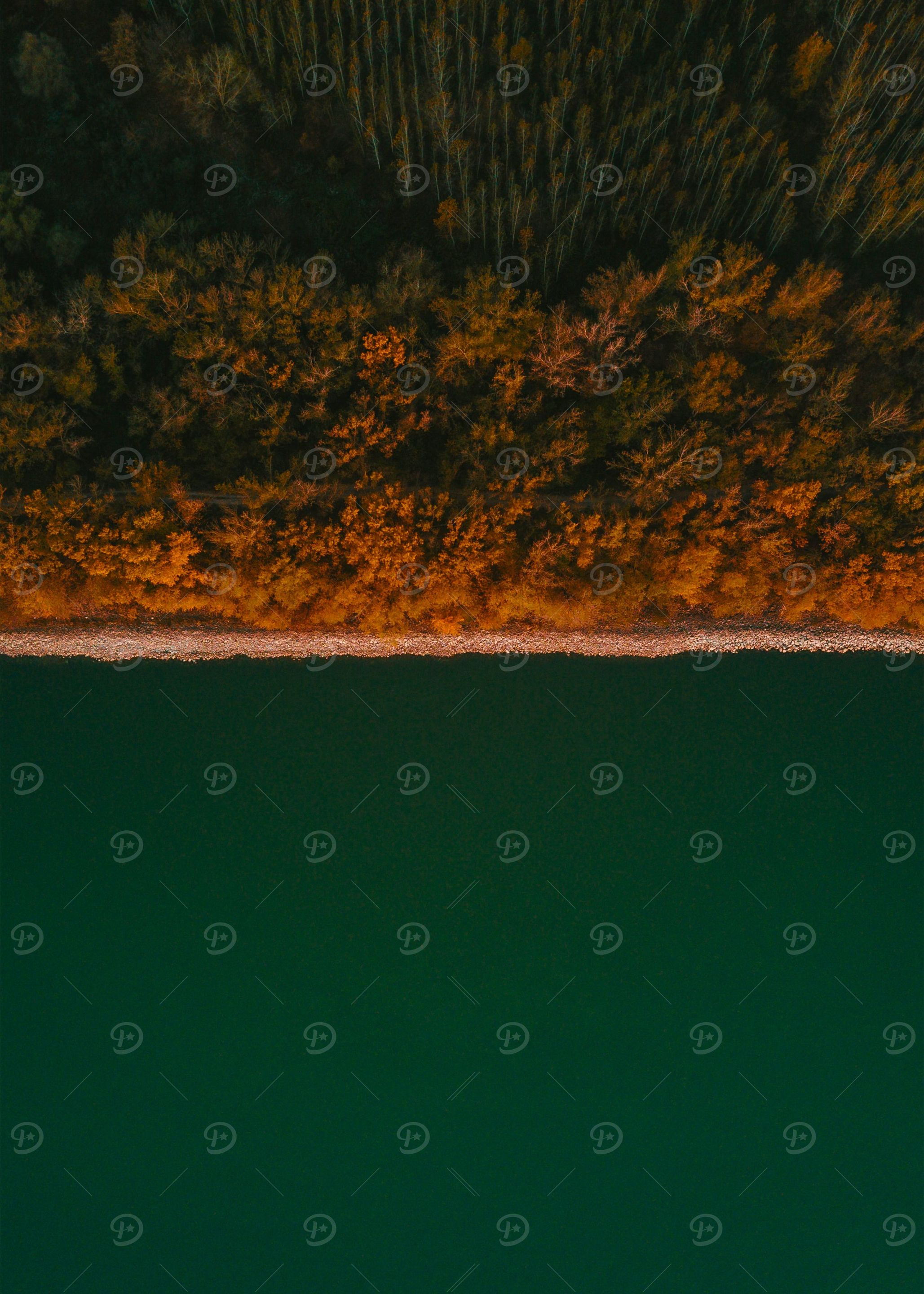 World From Above