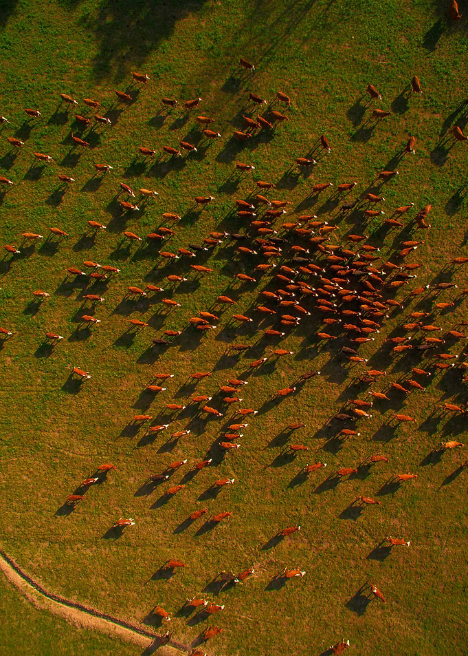 World From Above