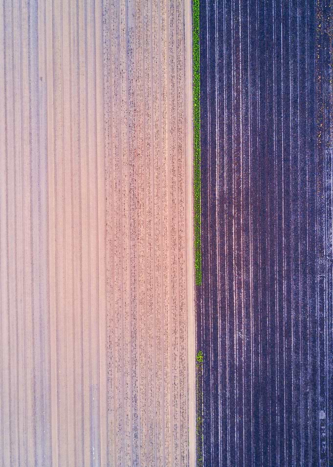 World From Above