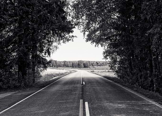 Curvy Road Under The Trees