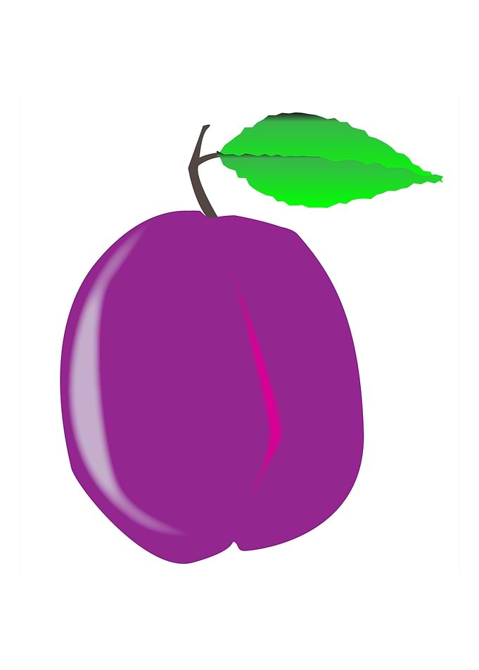 Plum With Green Leaf