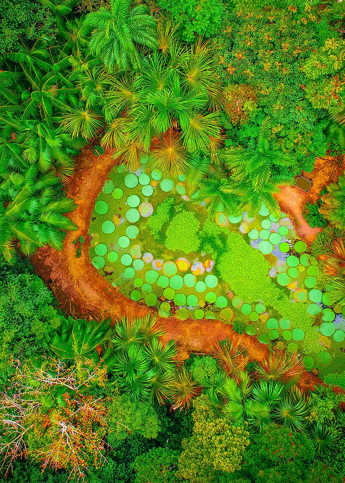 World From Above