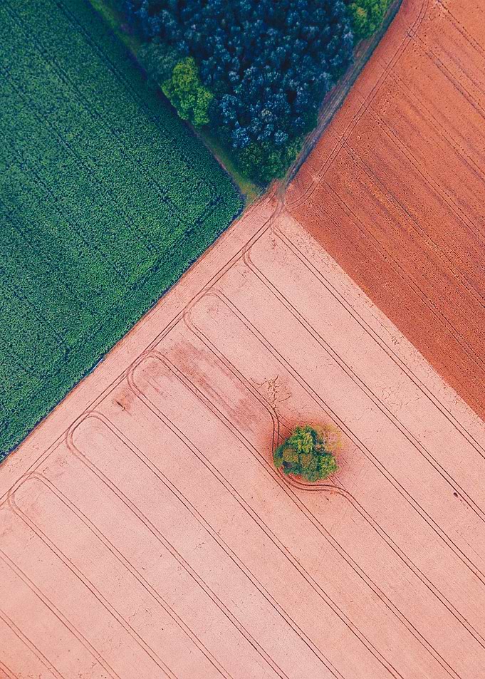 World From Above