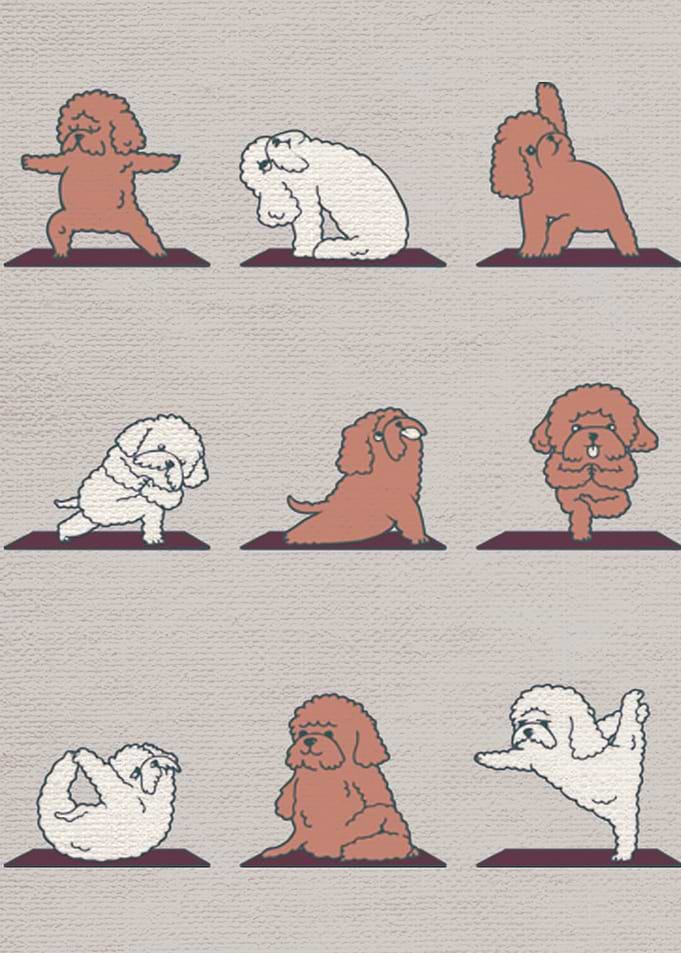 Poodle Poster