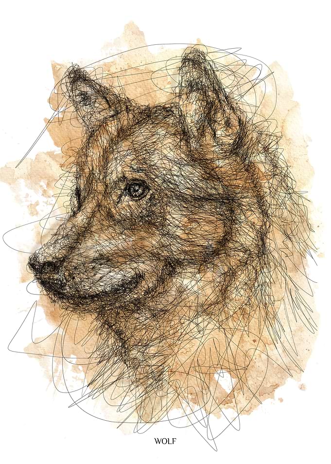 Wolf scribble