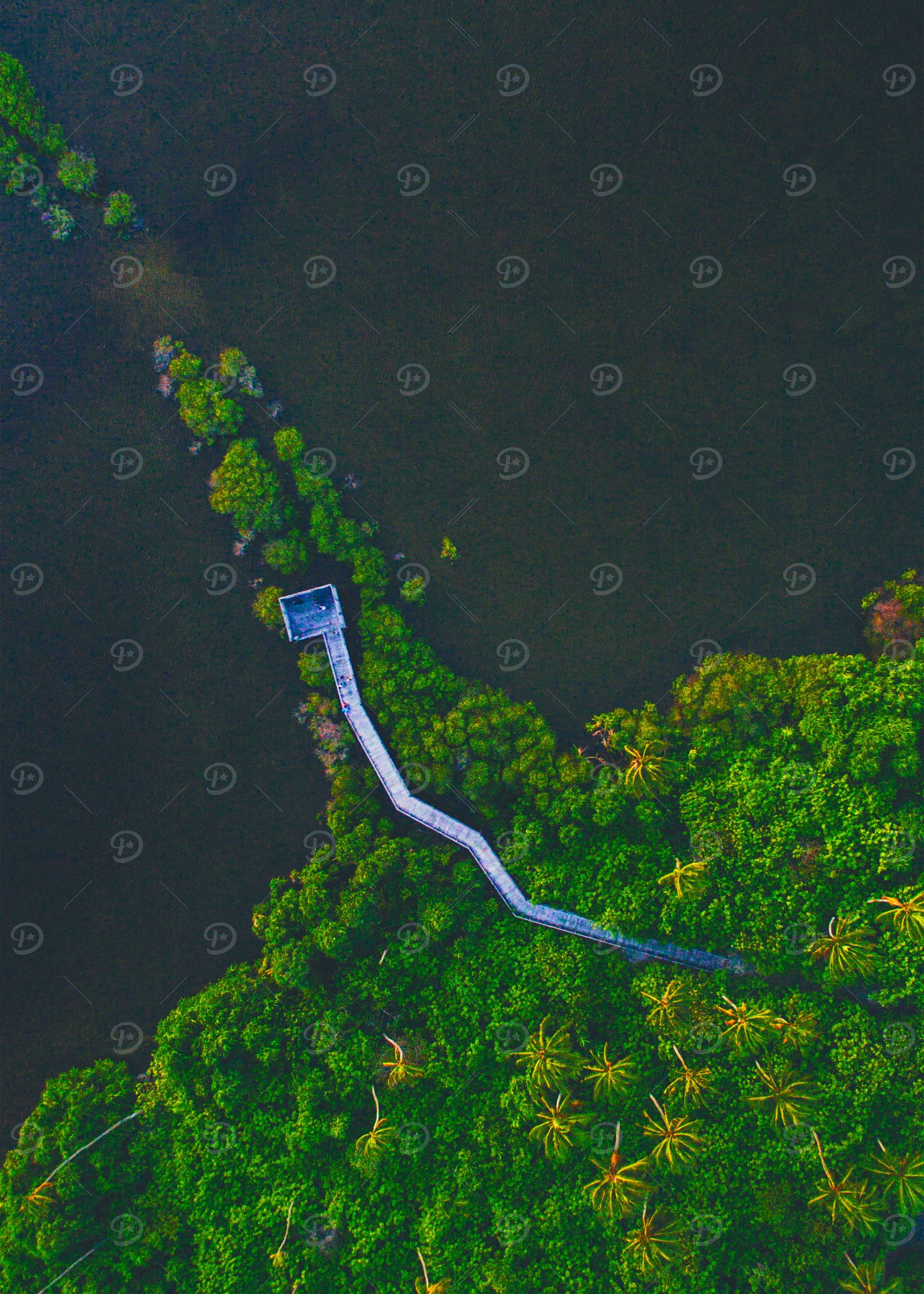 World From Above
