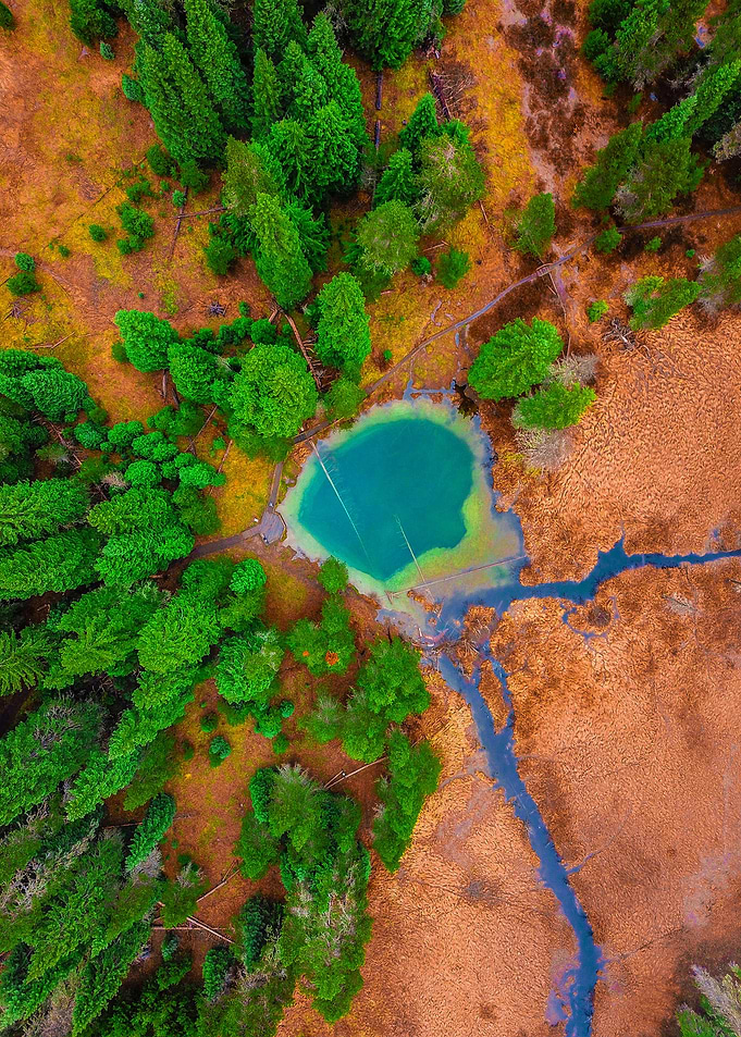 World From Above