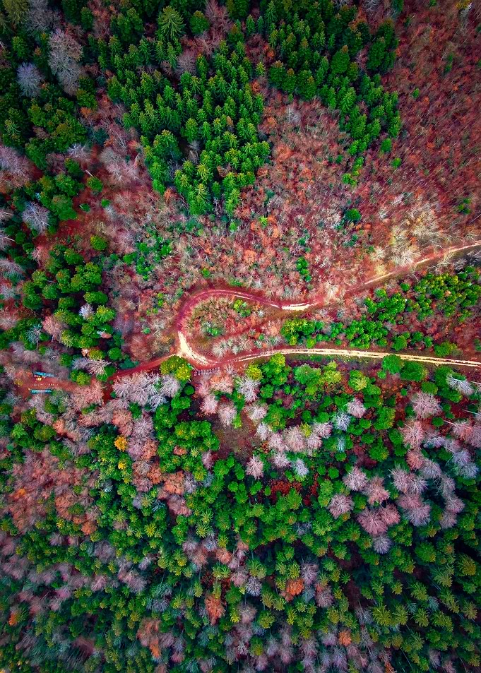 World From Above