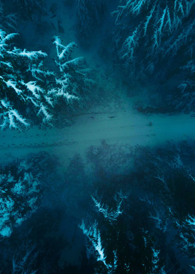 World From Above