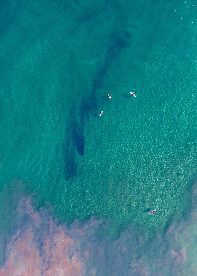 World From Above