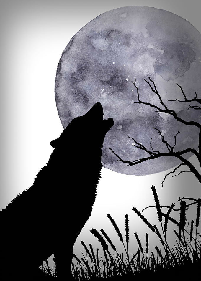 Moon of the Wolf 2