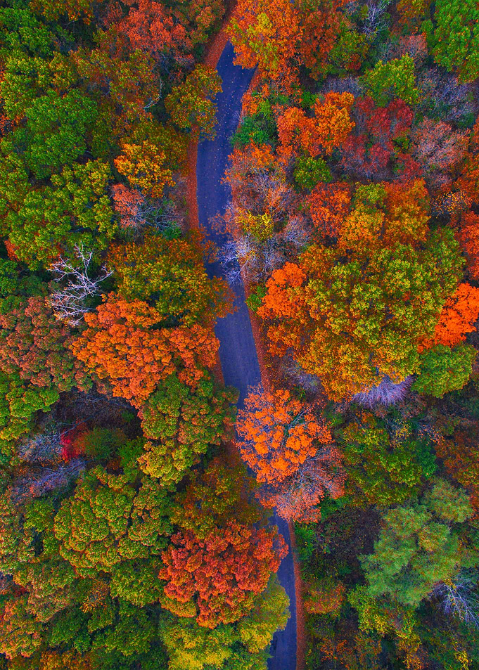 World From Above