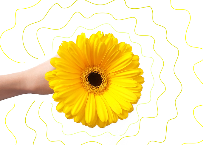 flower power aug19