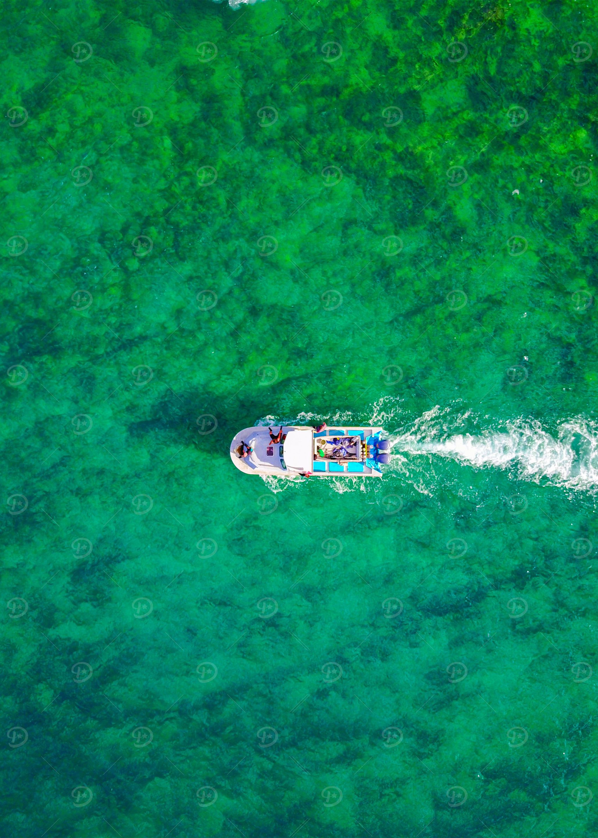 World From Above